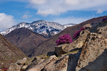 Similar image 21696449