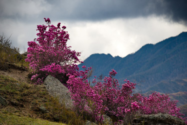 Similar image 21696452