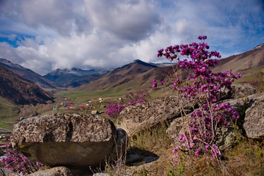 Similar image 21696453