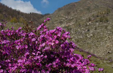 Similar image 21696454