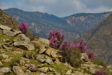 Similar image 21696457