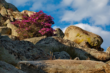 Similar image 21696460