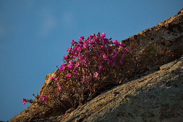 Similar image 21696462