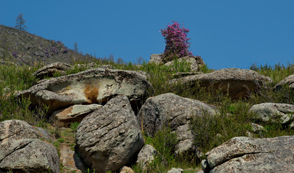 Similar image 21696463