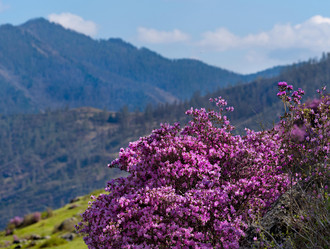 Similar image 21696467