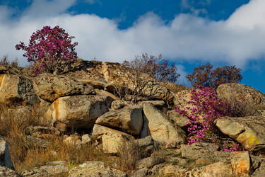 Similar image 21696468