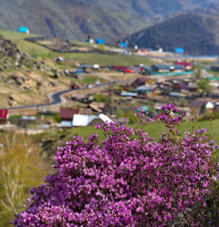 Similar image 21696469