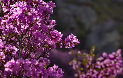 Similar image 21696471