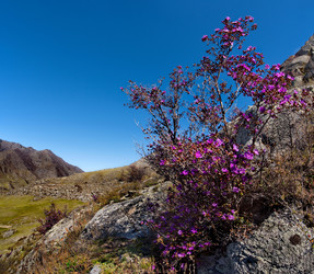 Similar image 21696472