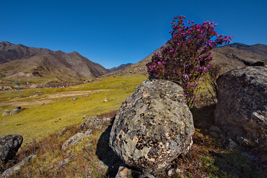 Similar image 21696474