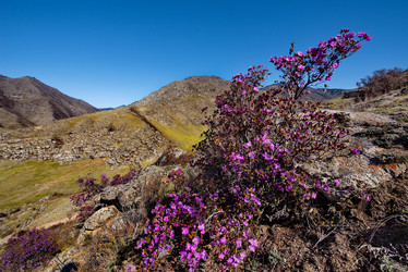 Similar image 21696476