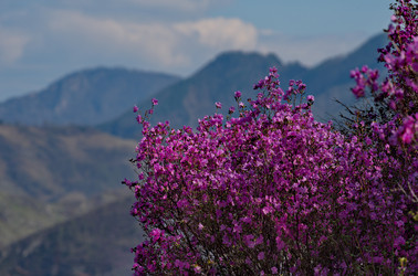 Similar image 21696477