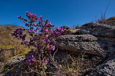 Similar image 21696478