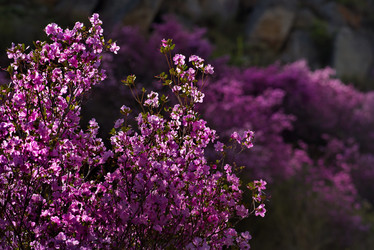 Similar image 21696479