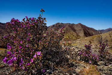 Similar image 21696480