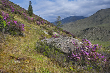 Similar image 21696481