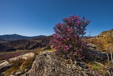 Similar image 21696482