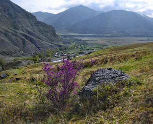 Similar image 21696483