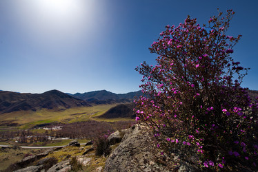 Similar image 21696484