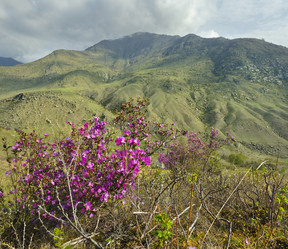 Similar image 21696854