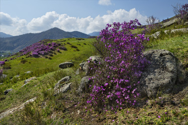 Similar image 21696856