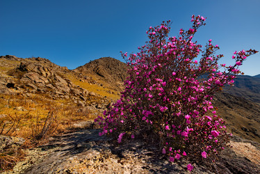 Similar image 21696857