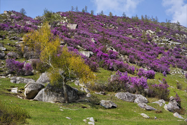 Similar image 21696858