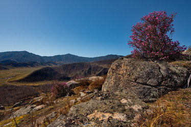 Similar image 21696859