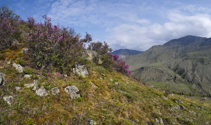 Similar image 21696860