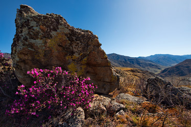 Similar image 21696861