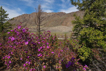 Similar image 21696864