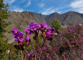 Similar image 21696866