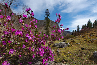 Similar image 21696868