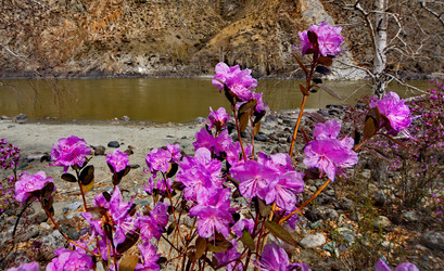 Similar image 21696870