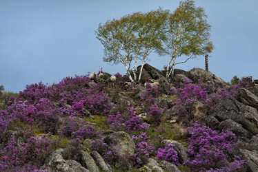 Similar image 21696875