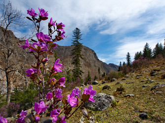 Similar image 21696876