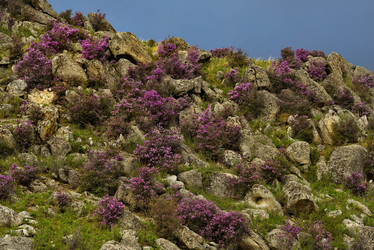 Similar image 21696877