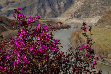 Similar image 21696878