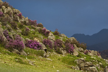 Similar image 21696879