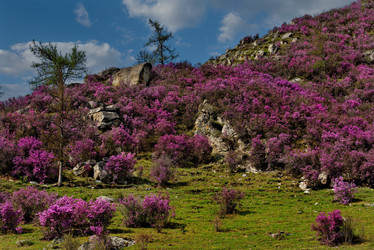 Similar image 21696486