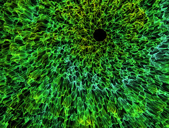 Similar image 21698237