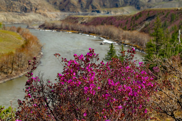 Similar image 21696487