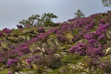 Similar image 21696488