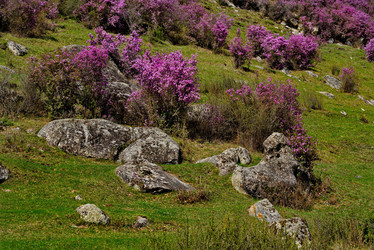 Similar image 21696490