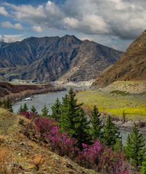 Similar image 21696493