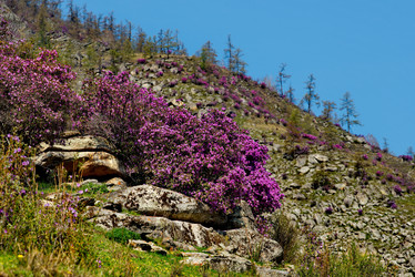 Similar image 21696494