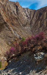 Similar image 21696495