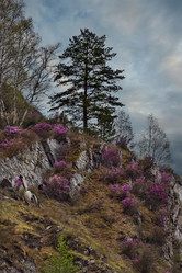 Similar image 21696496