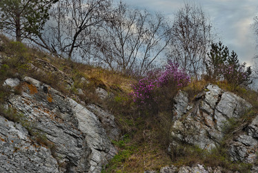 Similar image 21696497