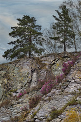 Similar image 21696498